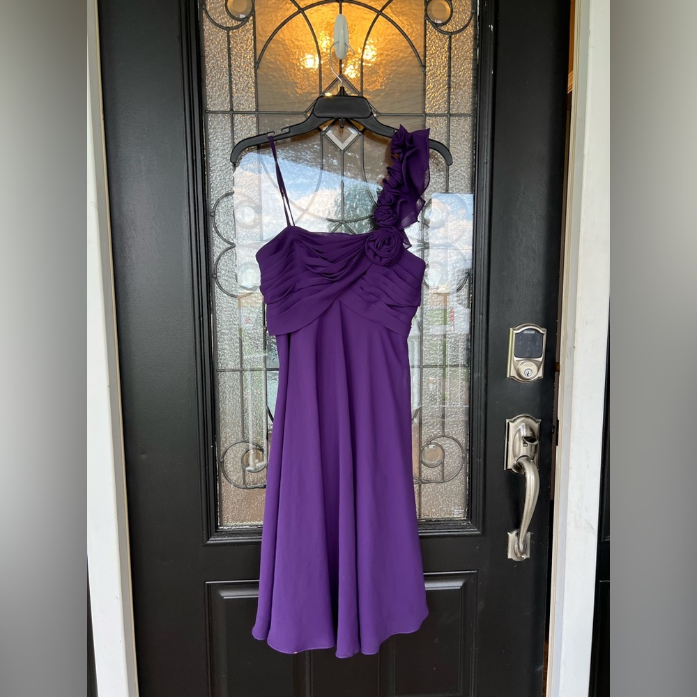 Speak Now inspired dress. Purple and perfect for the Eras tour!